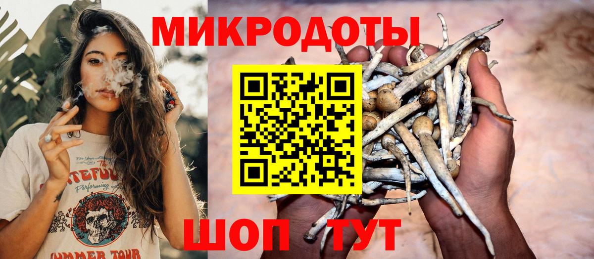 Псилоцибиновые грибы Cubensis  сколько стоит  Кинель  Вход с VPN 