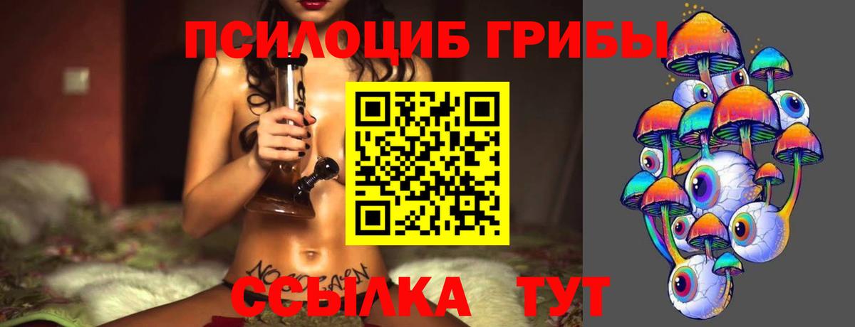 Псилоцибиновые грибы Cubensis Кинель