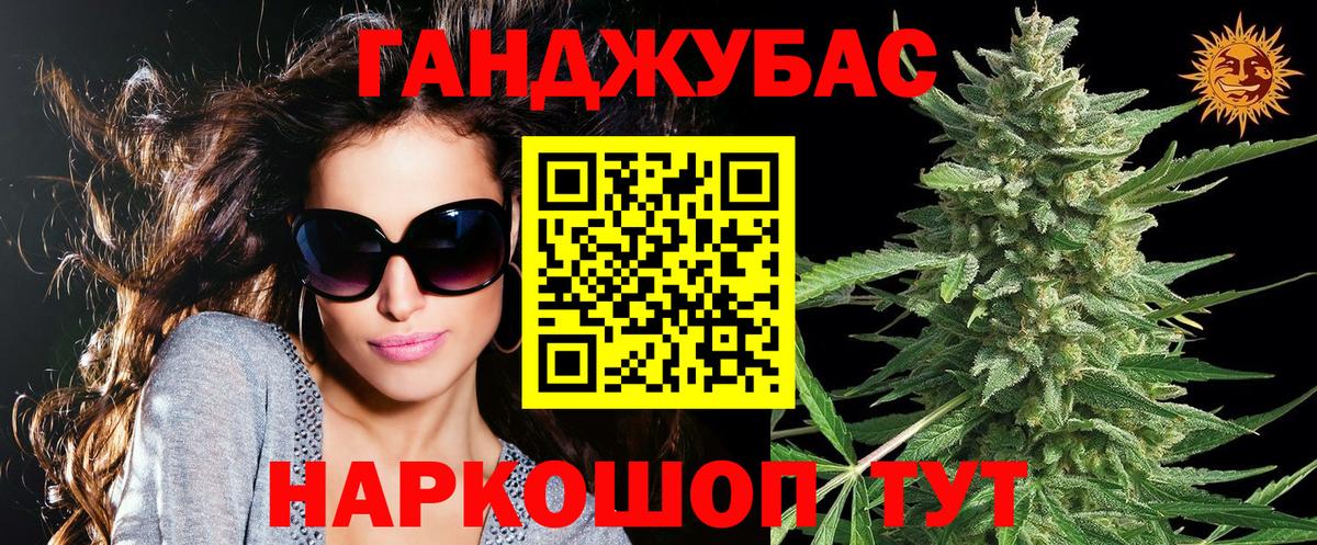 Каннабис планчик Кинель